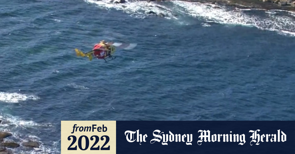 Video: Shark attack in Sydney’s south-east